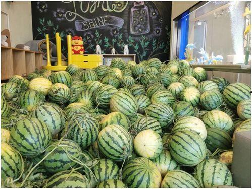 今天吃瓜网,吃瓜网独家爆料，明星幕后故事大公开！