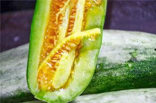 网红瓜都在哪里吃的,揭秘瓜都在哪里畅享美味时光