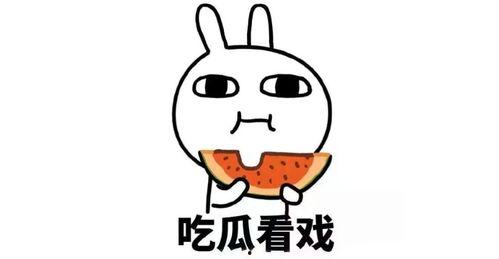 情感吃瓜爆料文案,情感吃瓜大揭秘，明星隐私一网打尽！