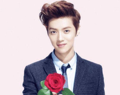 吃瓜鹿晗接了部网剧,吃瓜群众见证流量小生转型之路