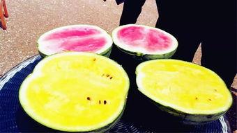 怎么找吃瓜爆料,如何轻松找到热门爆料