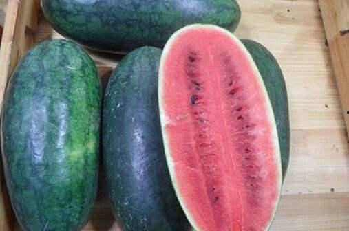 黑网爆料吃瓜,娱乐圈吃瓜大事件全解析