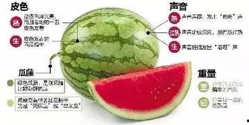 德阳网红吃瓜群微信,揭秘网络社交圈的趣味与争议