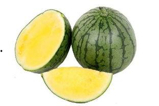 166.au吃瓜网,揭秘娱乐圈最新热点，带你畅游八卦世界