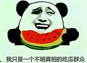 我不是废柴娱乐吃瓜